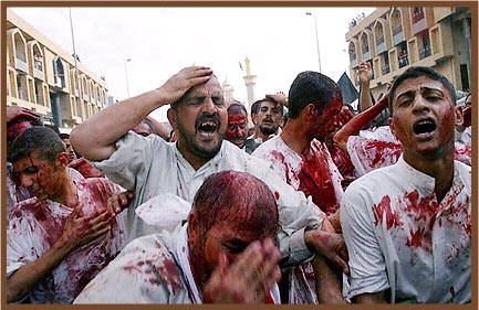 Iraqi Shiite Muslims who cut their heads with swords in a religious ritual in Karbala