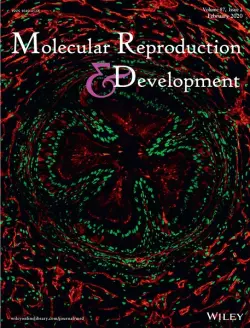 Actin cytoskeleton and epithelial sodium channel (ENaC), CFTR and aquaporin-9 localization in the vas deferens