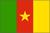 Flag of Cameroon